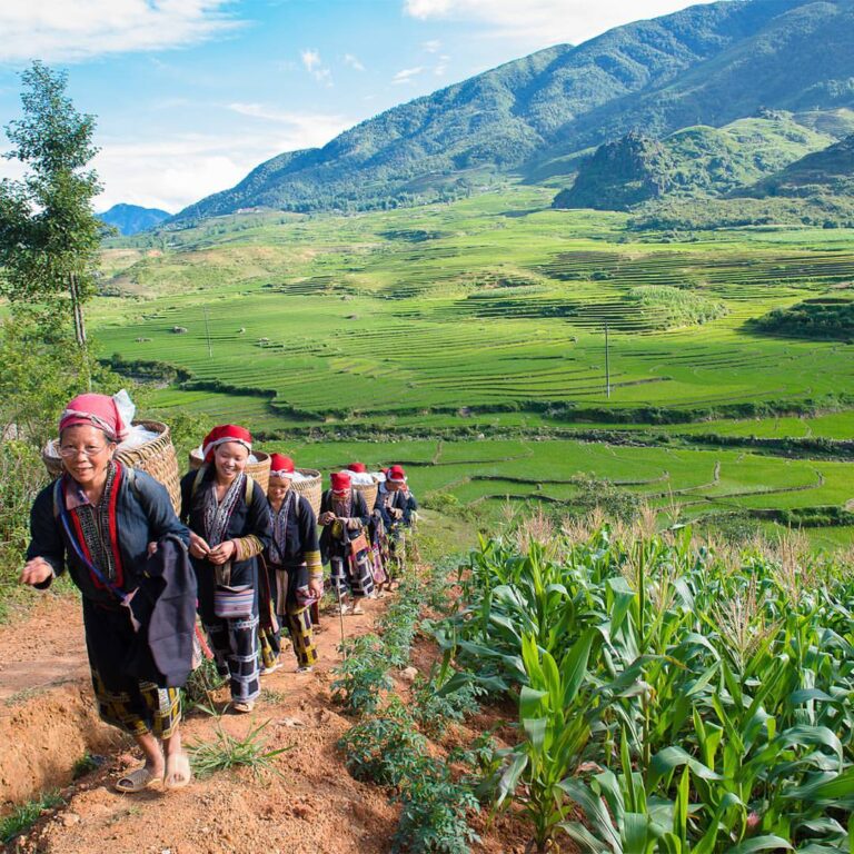 Authentic Sapa Local Experience Tour