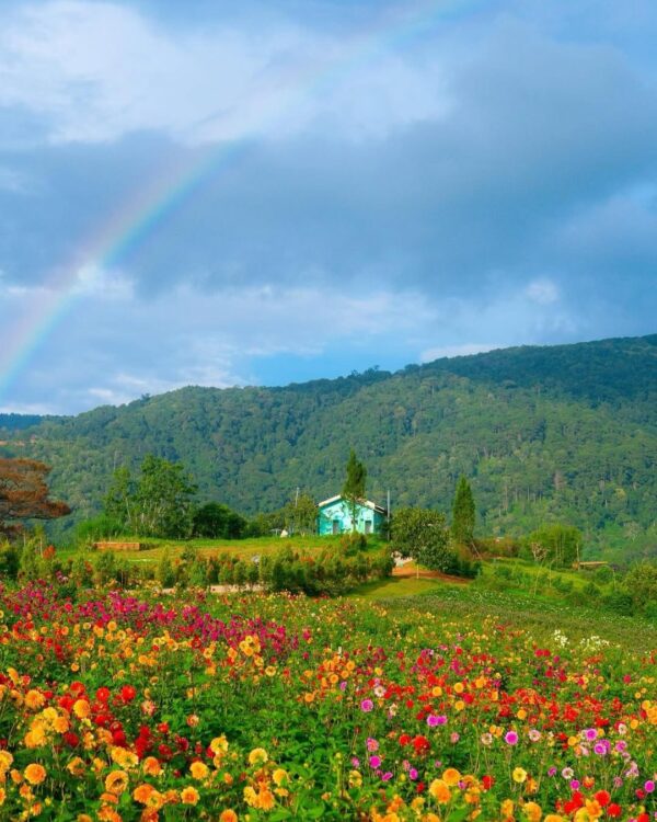 Easy Rider Adventure: Dalat to Buon Ma Thuot