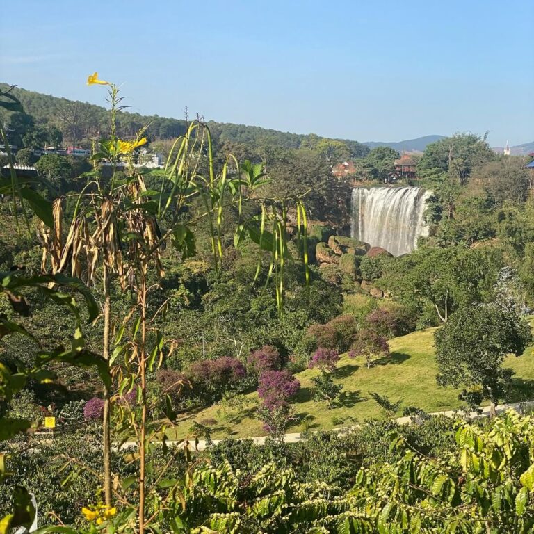 Easy Rider Adventure: Dalat to Buon Ma Thuot