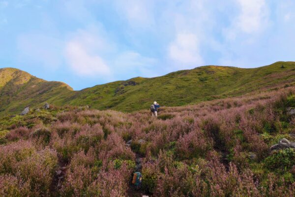 Trekking To Cloud Heaven Mountain And Magic Moss Forest: Ta Xua & Ta Chi Nhu (Yen Bai Province)
