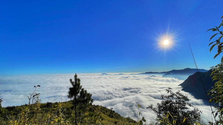 Trekking To Cloud Heaven Mountain And Magic Moss Forest: Ta Xua & Ta Chi Nhu (Yen Bai Province)