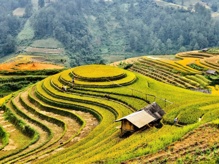 Moc Chau – Nghia Lo: A Journey Through History and Scenic Beauty