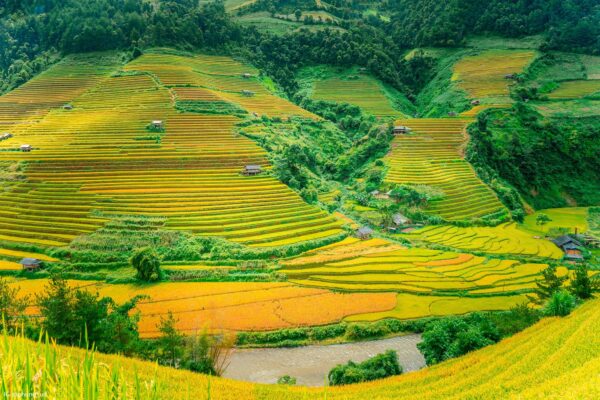 Ha Giang Unveiled: A 4-Day Journey Through Vietnam’s Northern Highlands