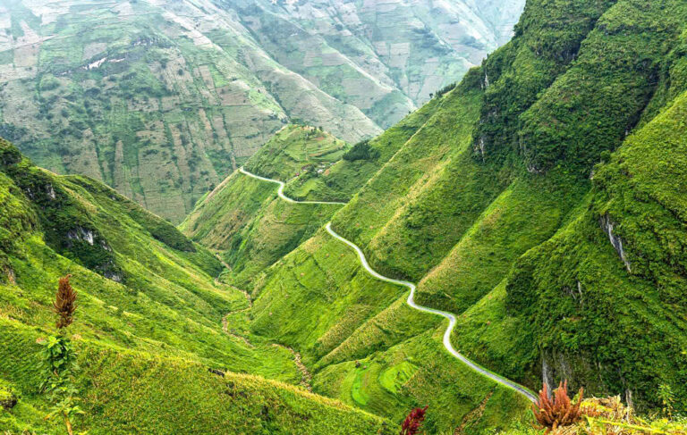 Ha Giang Unveiled: A 4-Day Journey Through Vietnam’s Northern Highlands