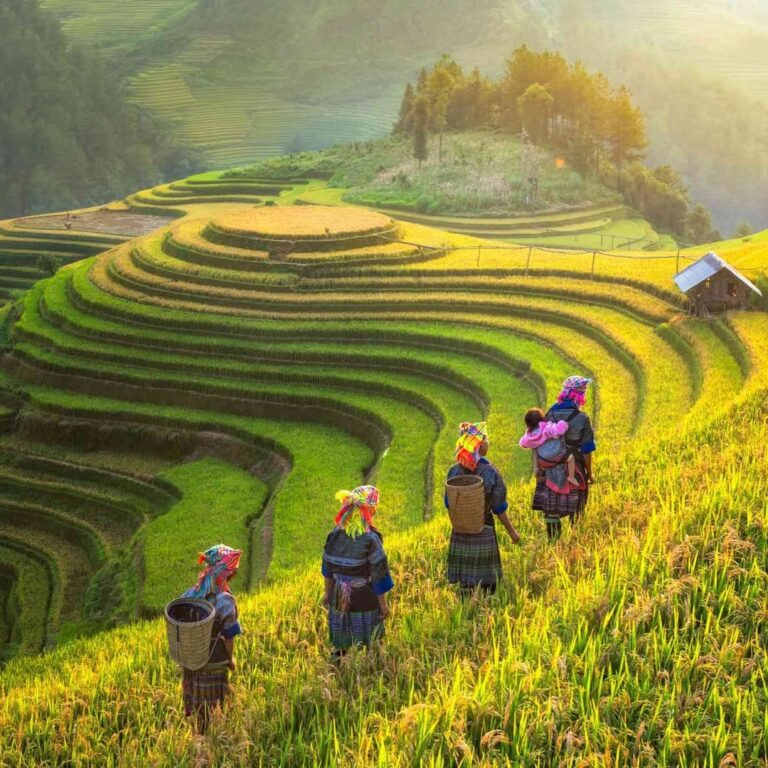 Ta Van – Giang Ta Chai – Su Pan – Sapa: More Trekking, Culture, and Stunning Views