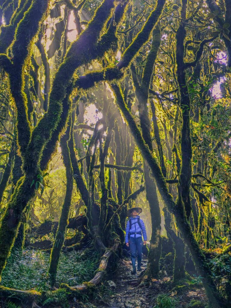 Beyond the Tourist Trail Vietnam Tours: Trekking Ta Xua Mountain 3 Days 2 Nights