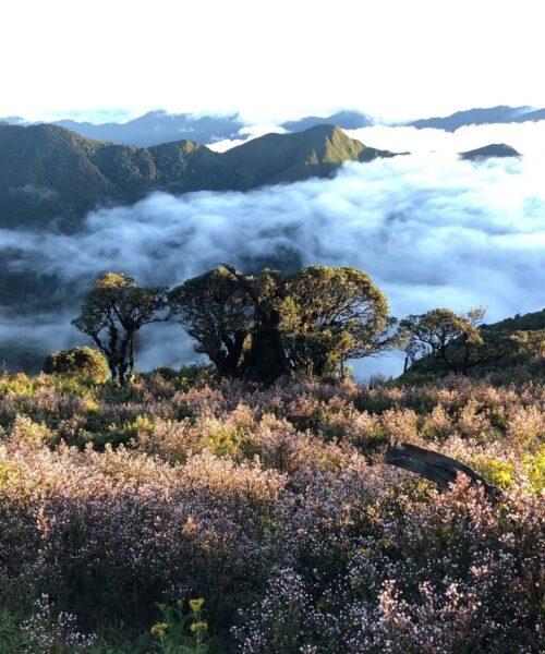 Beyond the Tourist Trail Vietnam Tours: Trekking Ta Xua Mountain 3 Days 2 Nights