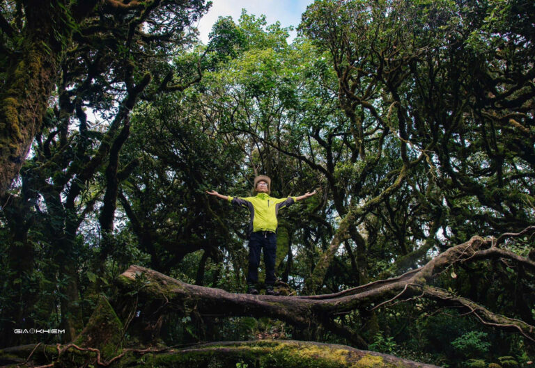 Beyond the Tourist Trail Vietnam Tours: Trekking Ta Xua Mountain 3 Days 2 Nights