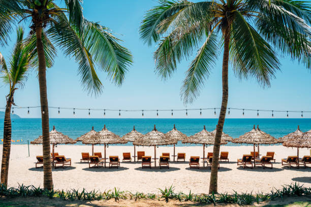 5 Days in Da Nang & Hoi An: Beaches, Golden Bridge & Lantern Nights Experience