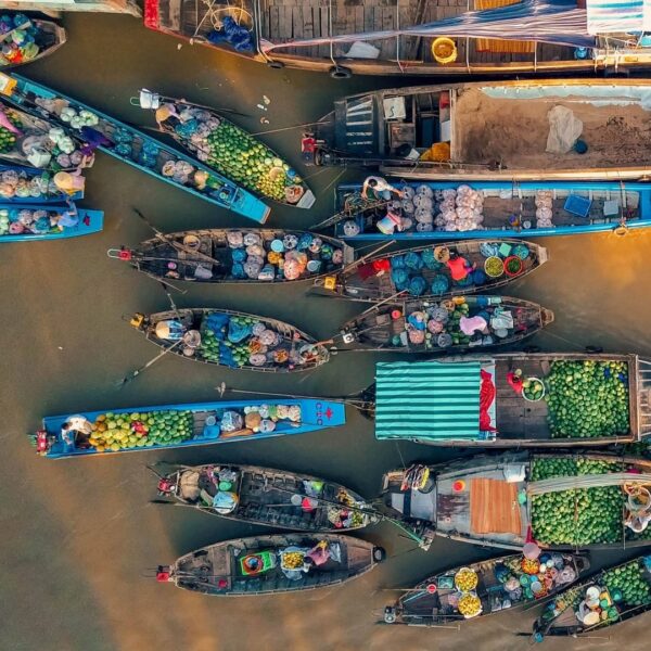 A Day of Tranquility in the Mekong Delta