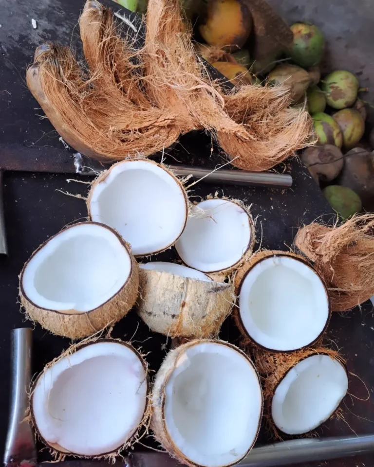 A Day of Tranquility in the Mekong Delta