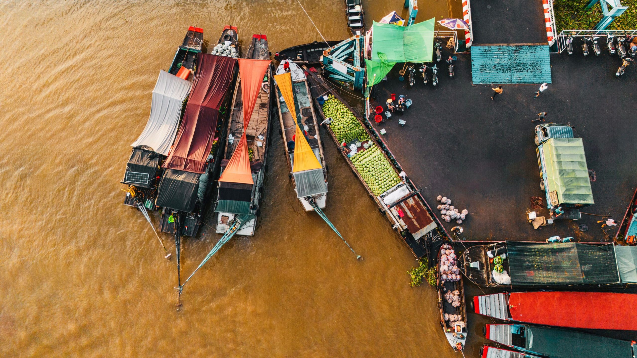 A Day of Tranquility in the Mekong Delta