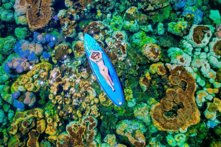 Full-Day Snorkeling & Cable Car Adventure in Phu Quoc