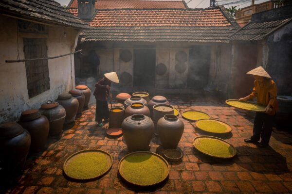 Duong Lam Ancient Village & Thay Pagoda Day Tour: A Journey Through Time