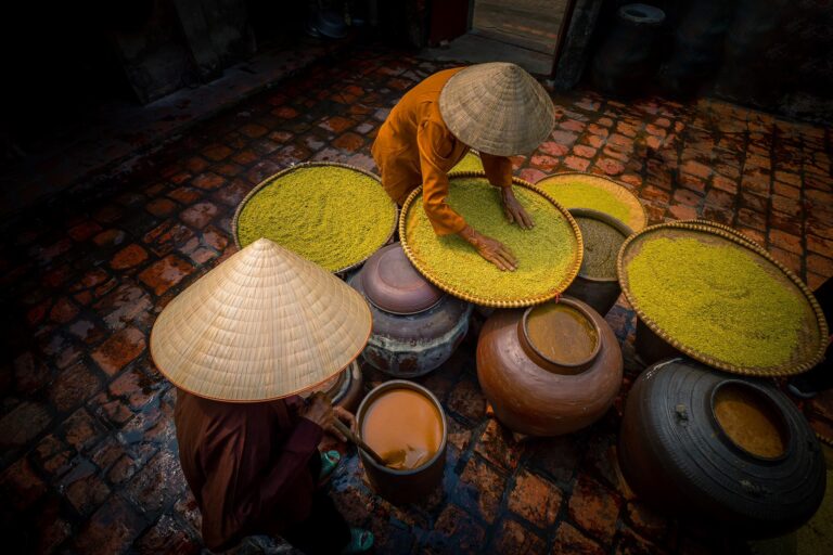 Duong Lam Ancient Village & Thay Pagoda Day Tour: A Journey Through Time