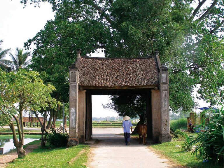 Duong Lam Ancient Village & Thay Pagoda Day Tour: A Journey Through Time