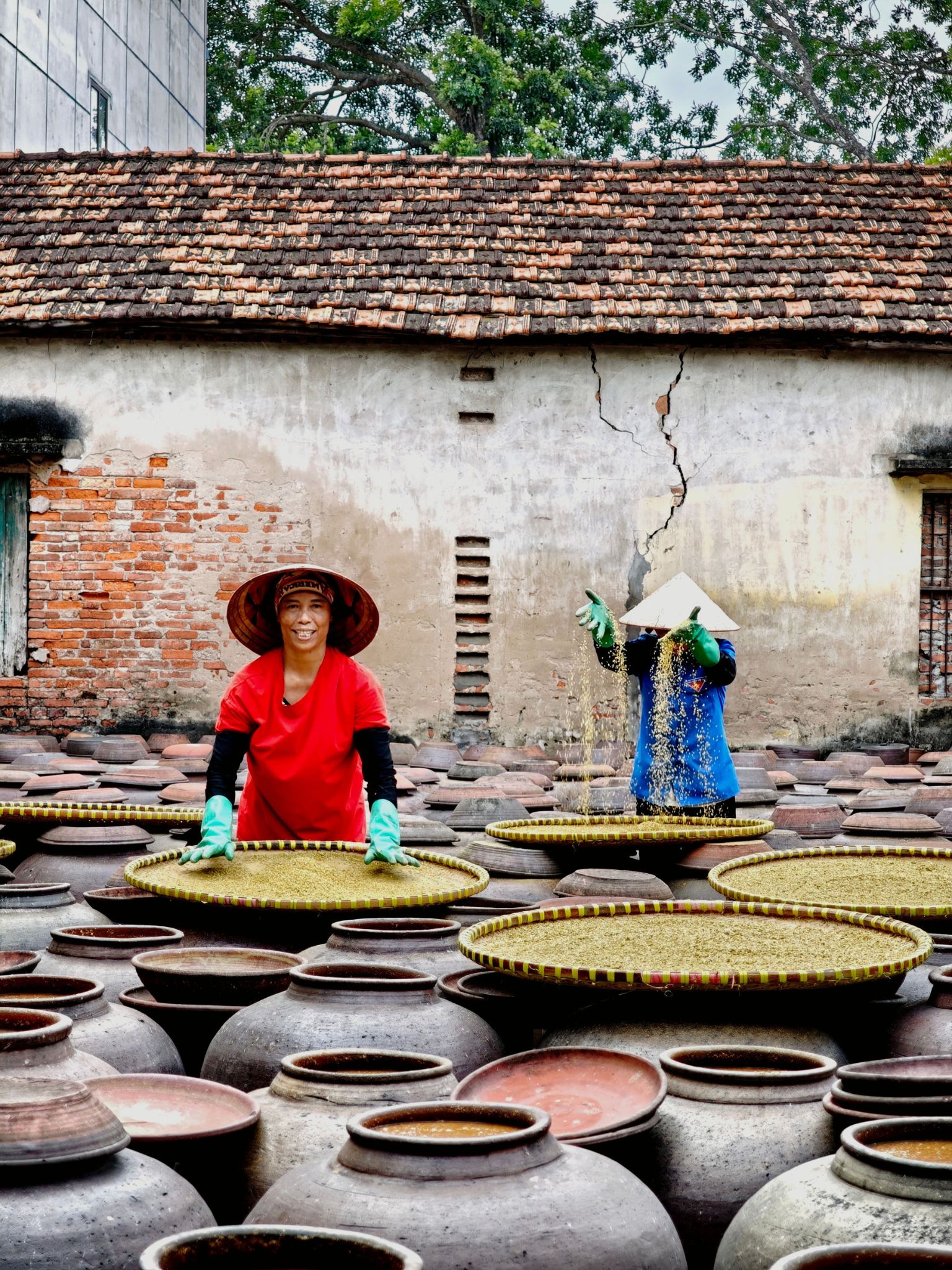 Vietnam Cultural Immersion Tours: Duong Lam Village and Ba Vi National Park