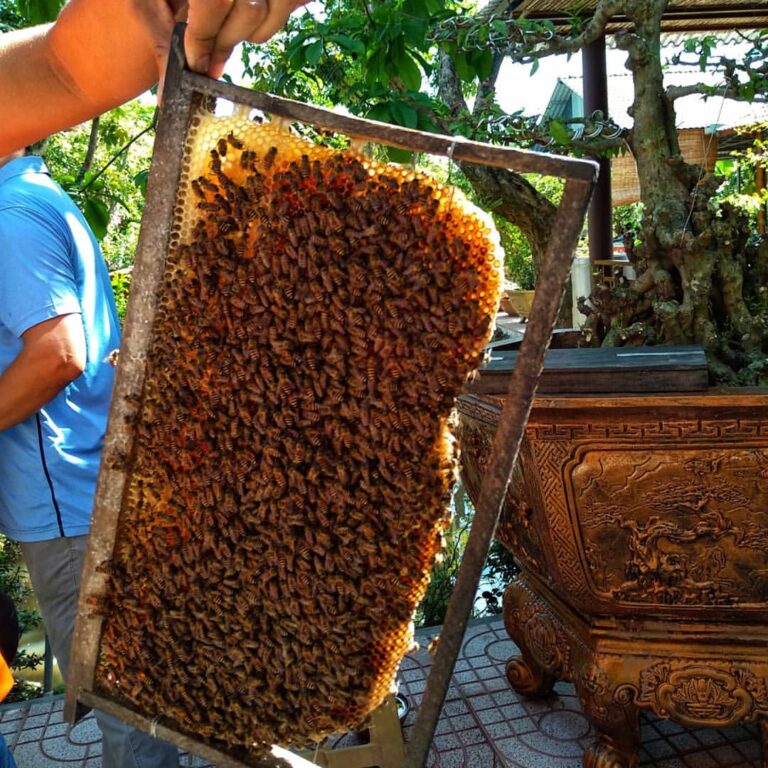 Explore the Heart of the Mekong Delta: A Day of Culture and Charm