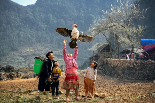Explore the Wild Beauty of Ha Giang and Ban Gioc Waterfall