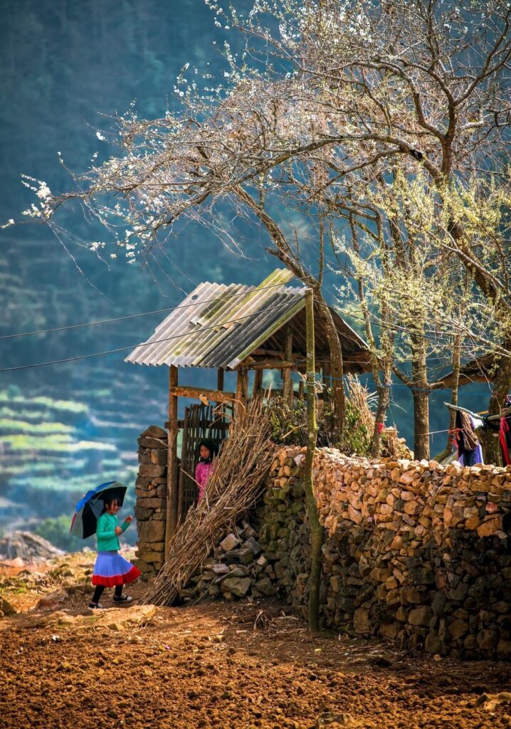 Explore the Wild Beauty of Ha Giang and Ban Gioc Waterfall