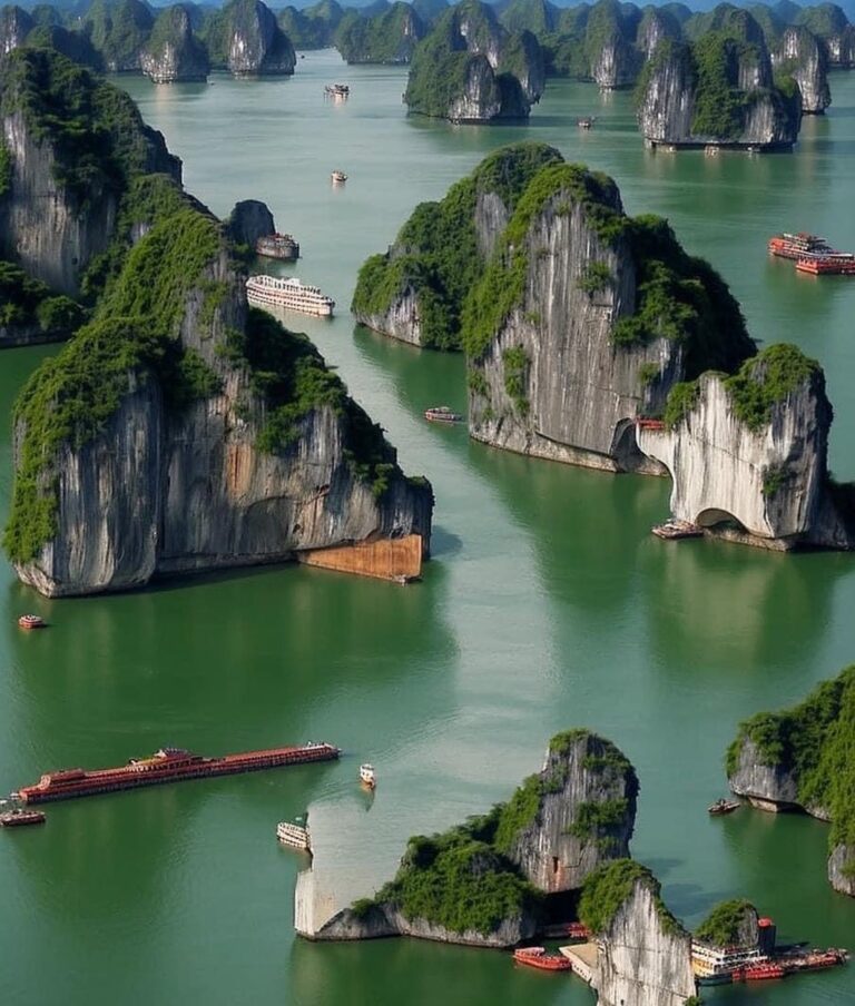 Halong Bay Day Trip on a Luxury Cruise