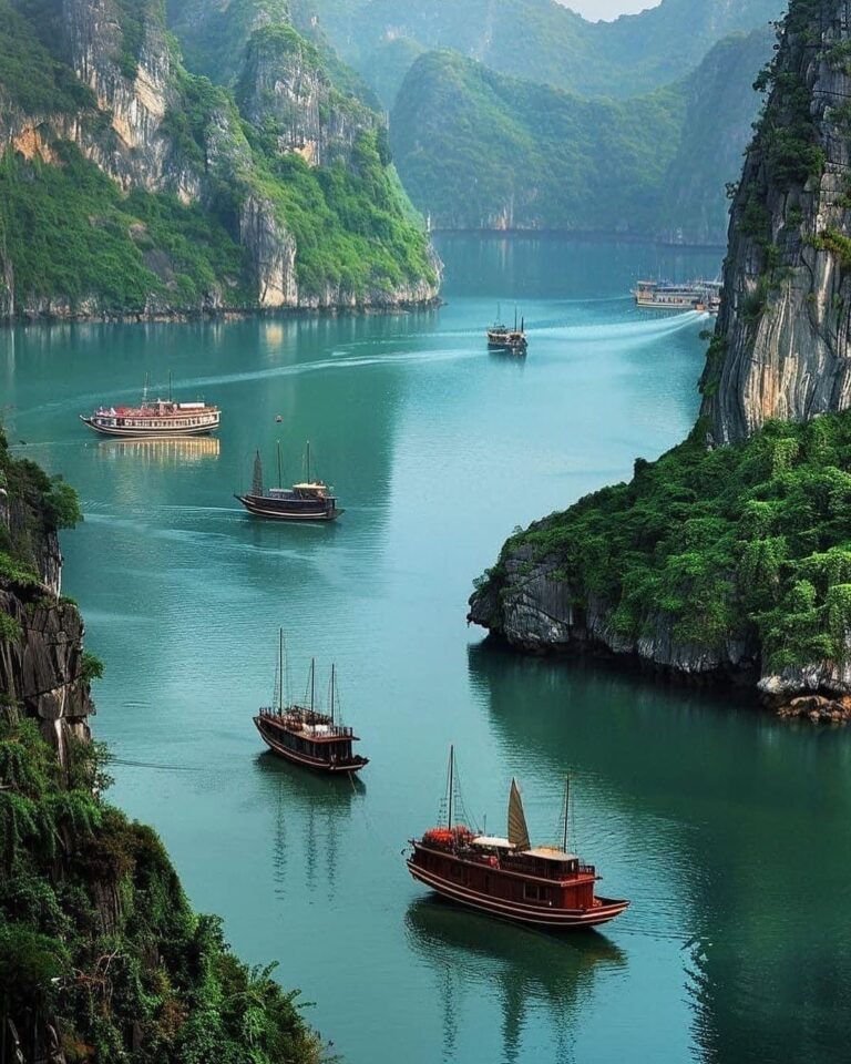 Halong Bay Day Trip on a Luxury Cruise