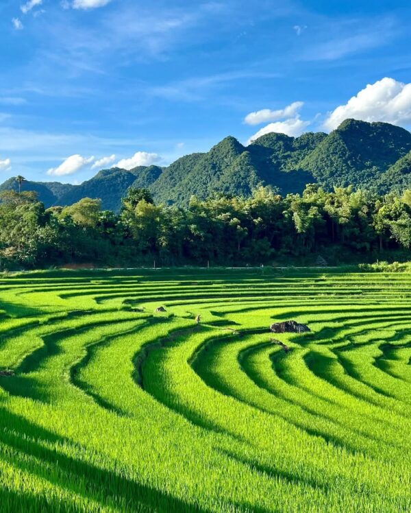 Pu Luong Nature Reserve Day Tour: A Hidden Gem Awaits