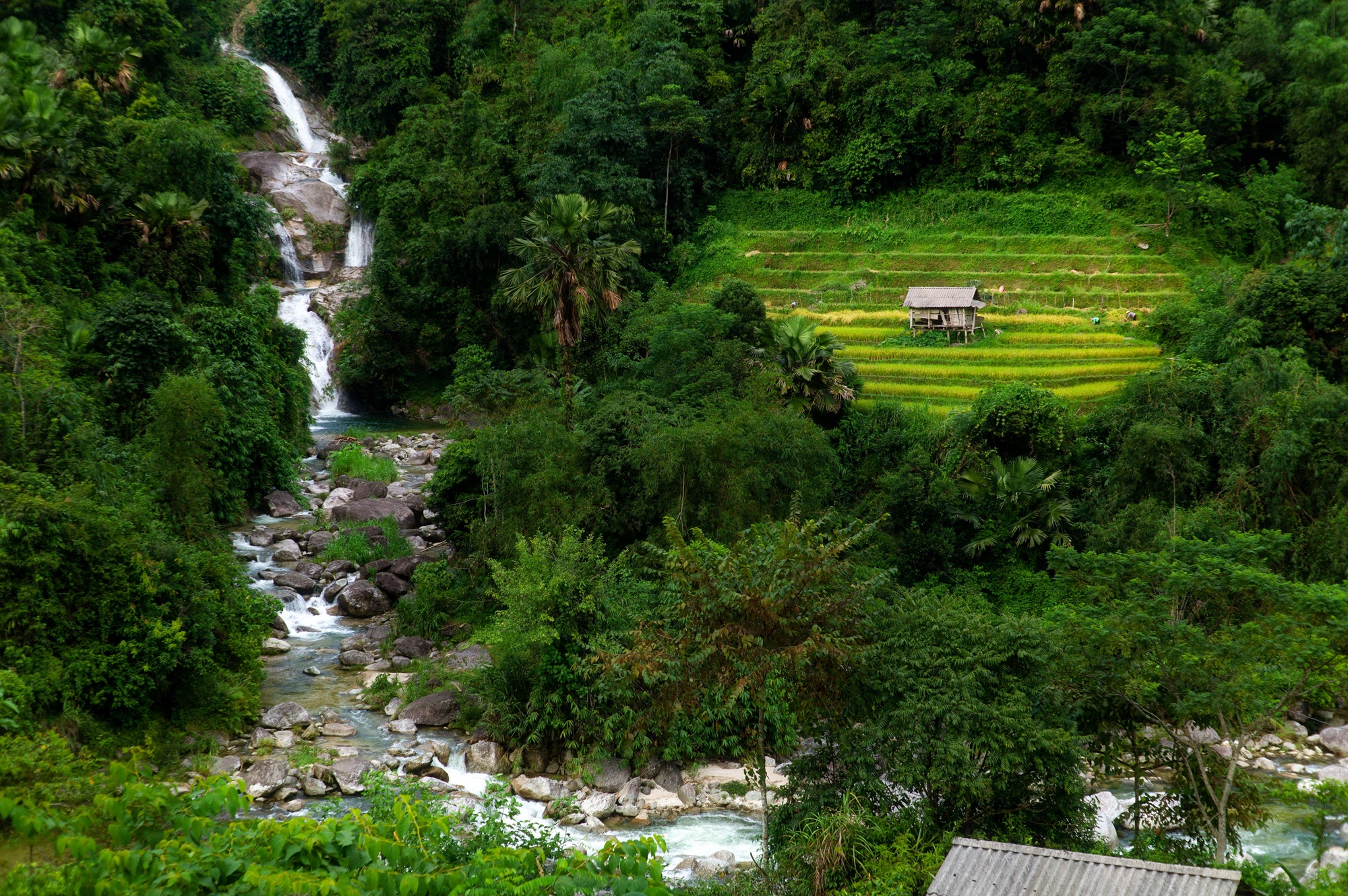 Pu Luong Nature Reserve Day Tour: A Hidden Gem Awaits