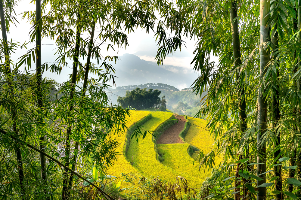 Pu Luong Nature Reserve Day Tour: A Hidden Gem Awaits