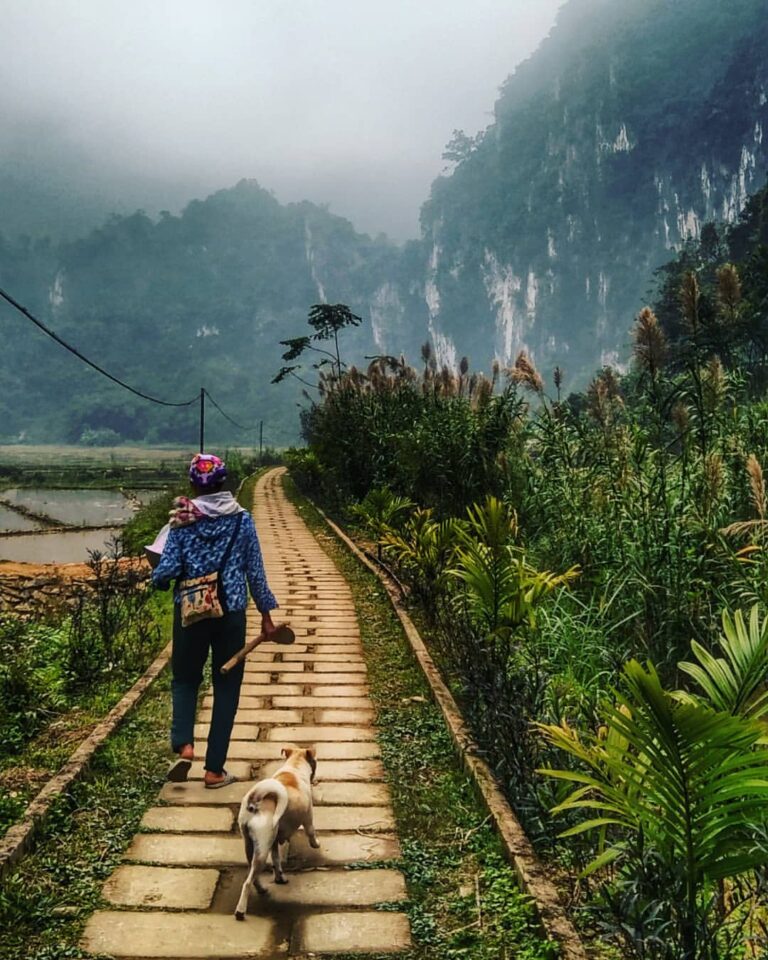 Pu Luong Nature Reserve Day Tour: A Hidden Gem Awaits