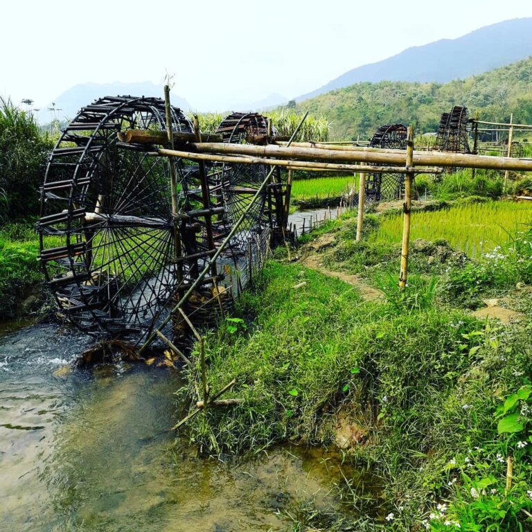 Pu Luong Nature Reserve Day Tour: A Hidden Gem Awaits