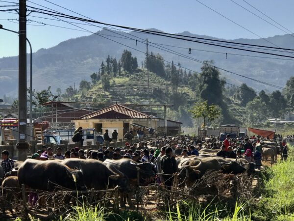 Sapa on a Sunday: A Perfect Blend of Culture and Scenic Beauty