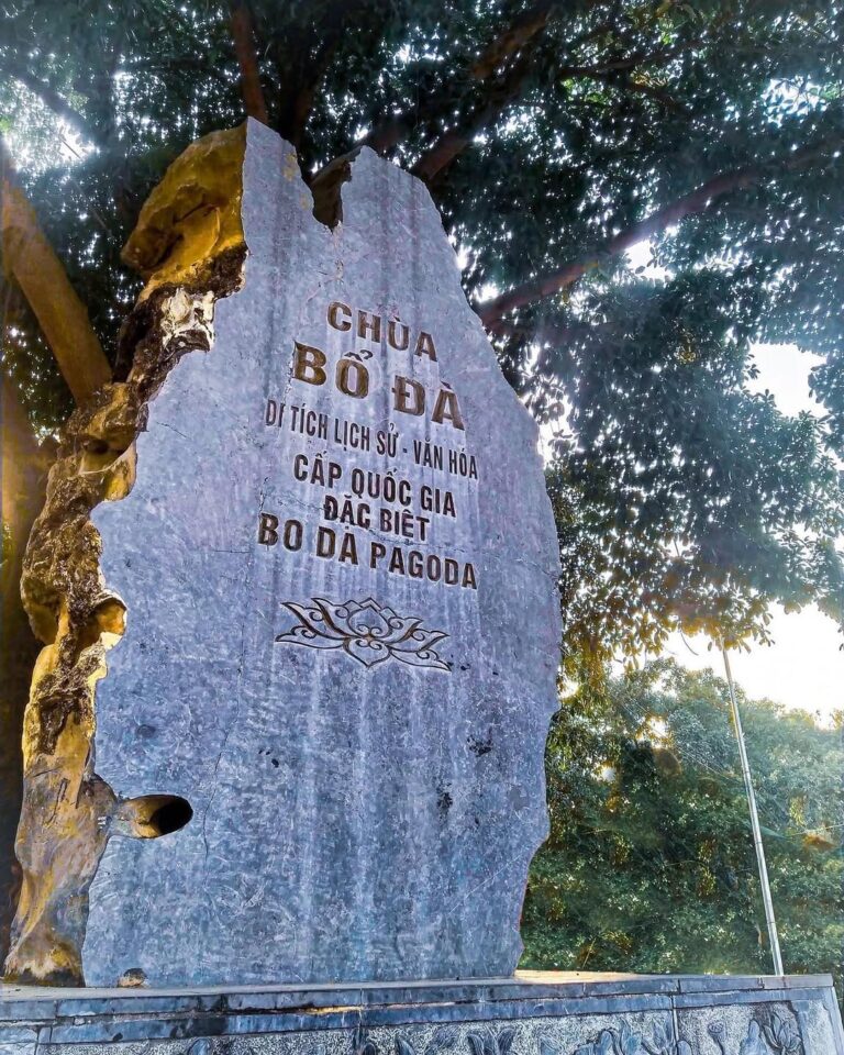 Cultural Treasures: Tho Ha, Bo Da Pagoda, and Phu Lang Experience