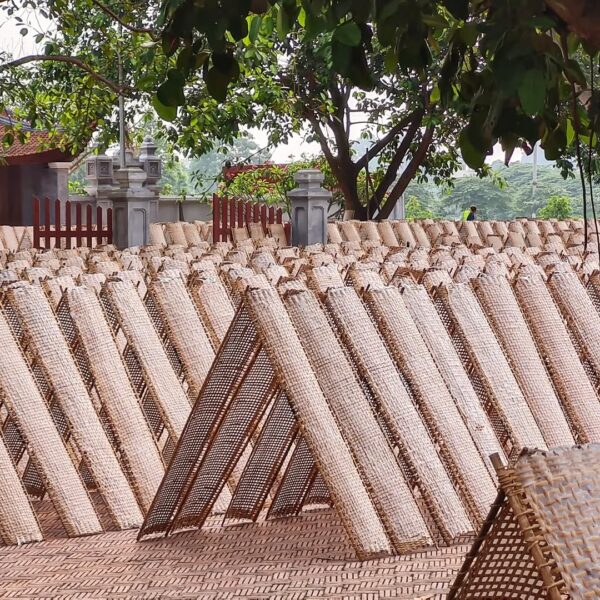 Cultural Treasures: Tho Ha, Bo Da Pagoda, and Phu Lang Experience