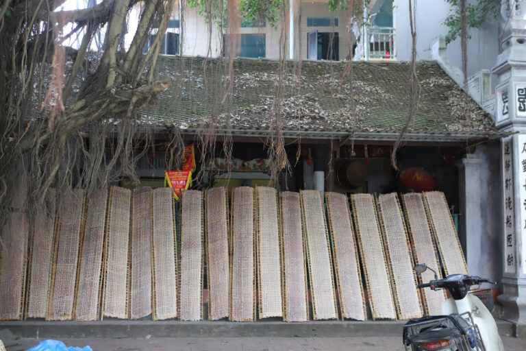Cultural Treasures: Tho Ha, Bo Da Pagoda, and Phu Lang Experience
