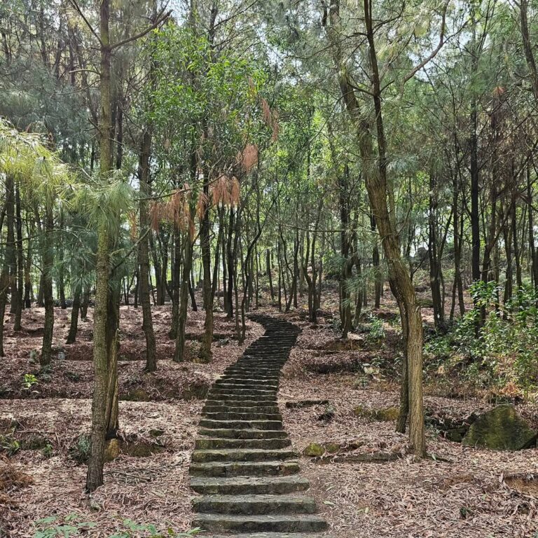Cultural Treasures: Tho Ha, Bo Da Pagoda, and Phu Lang Experience