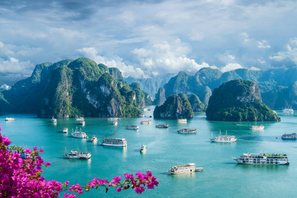 Halong Bay Day Trip on a Luxury Cruise