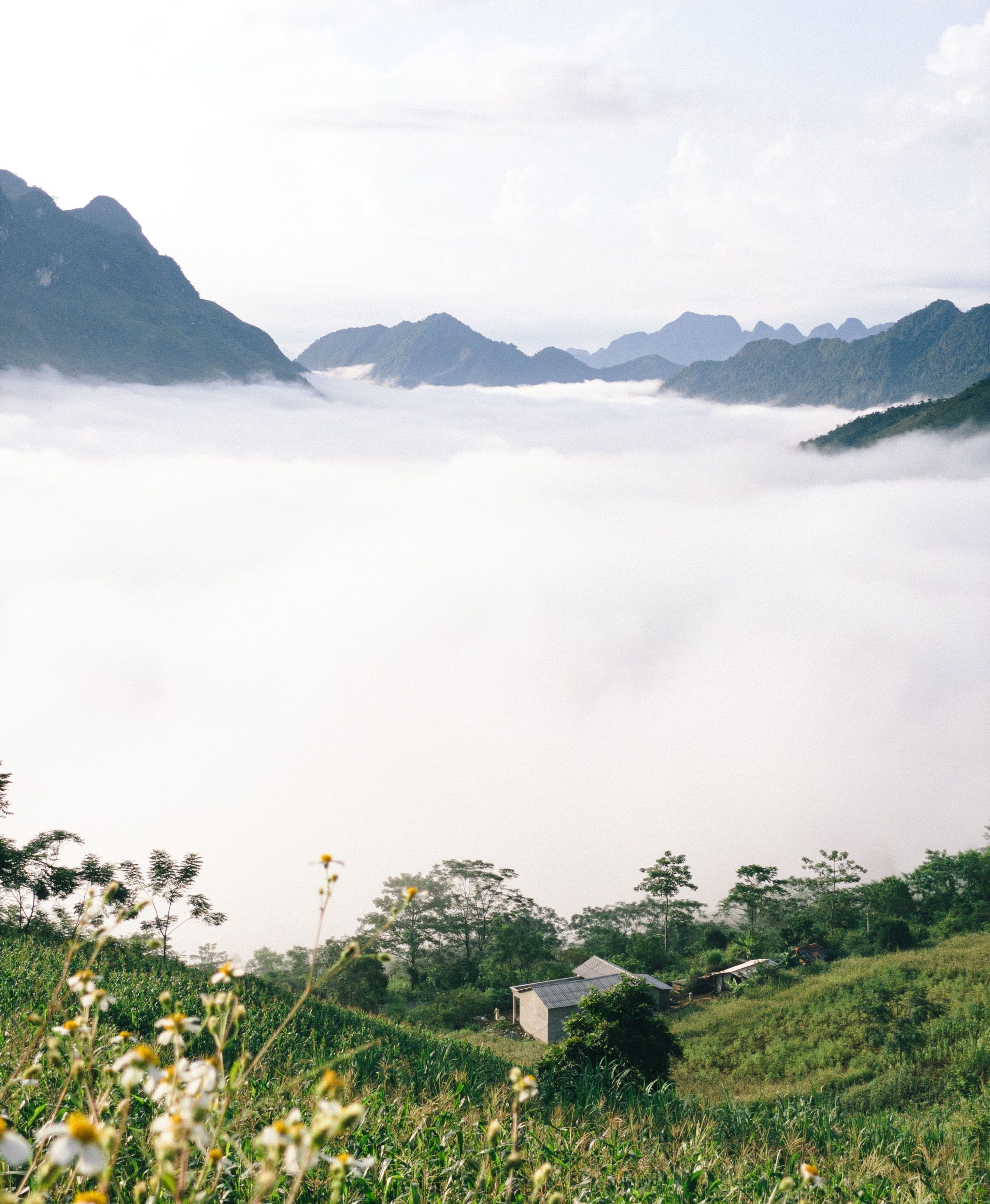 Alternative Destinations in Vietnam to Escape the Bus Tours