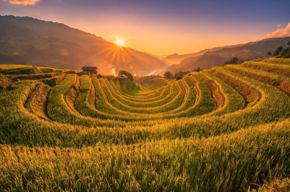 Why Slow Travel in Rural Vietnam Changes Your Perspective on Life