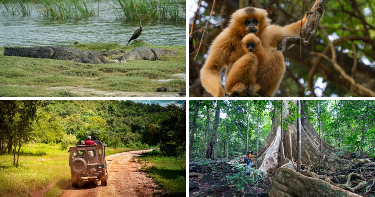 Nam Cat Tien National Park: Deep into the Untouched Rainforest