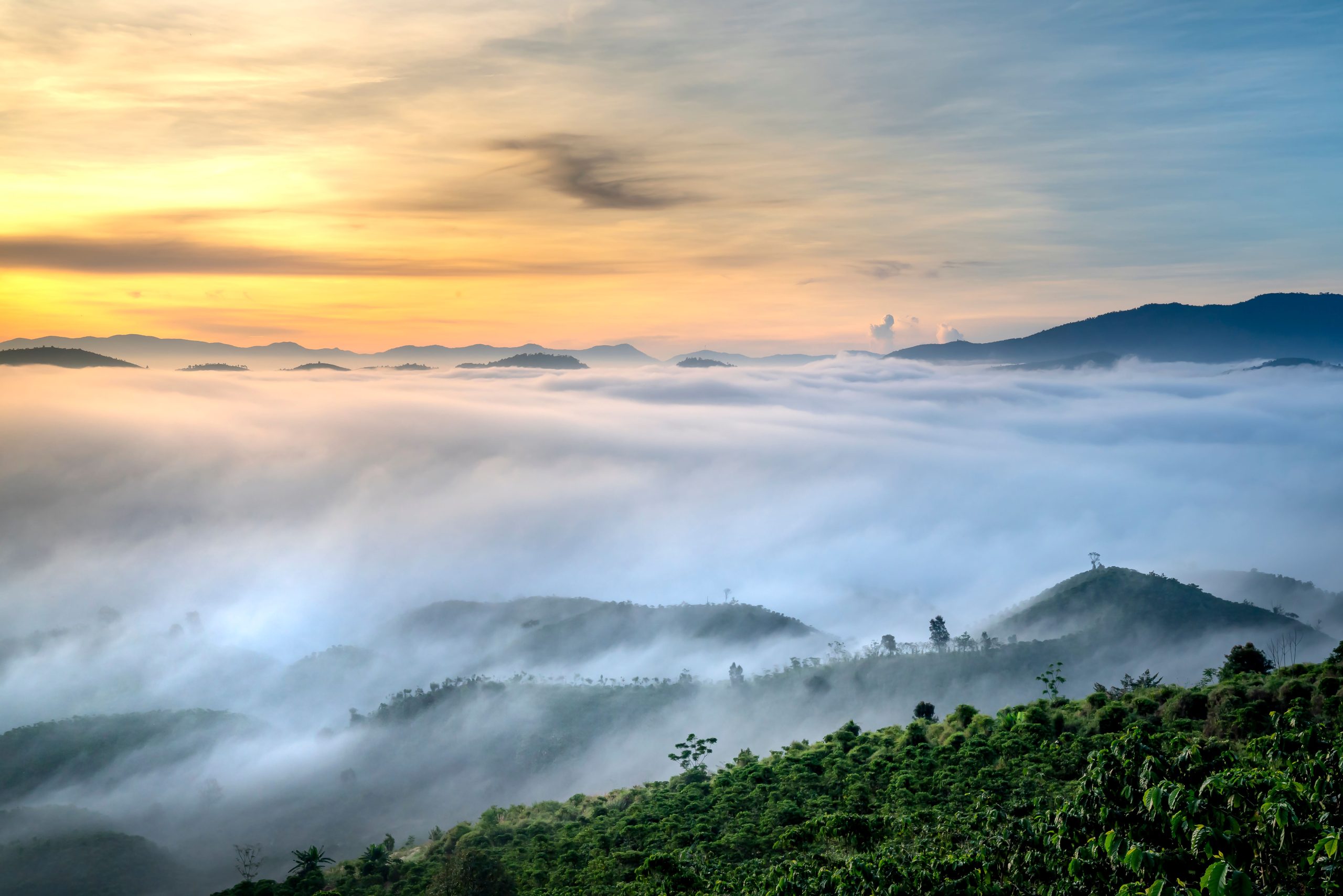 Bach Ma National Park: Misty Peaks and Forgotten French Villas