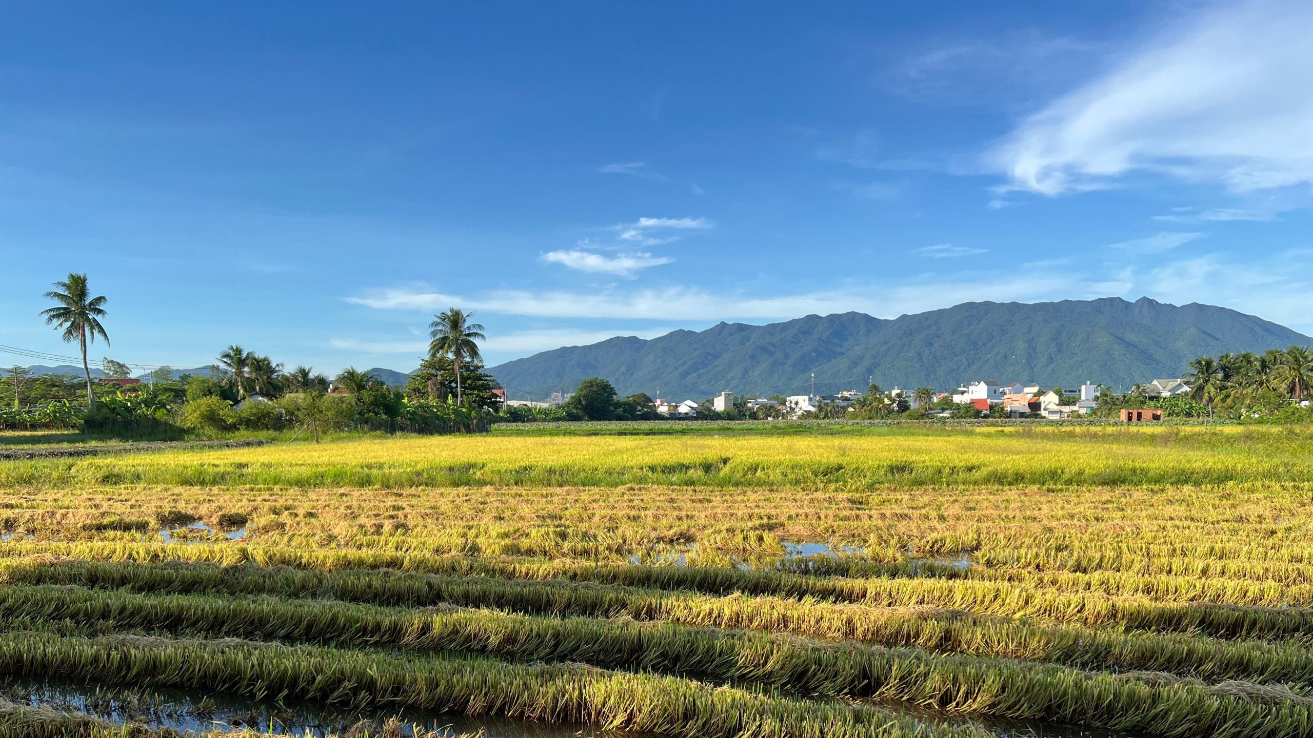 Why Slow Travel in Rural Vietnam Changes Your Perspective on Life