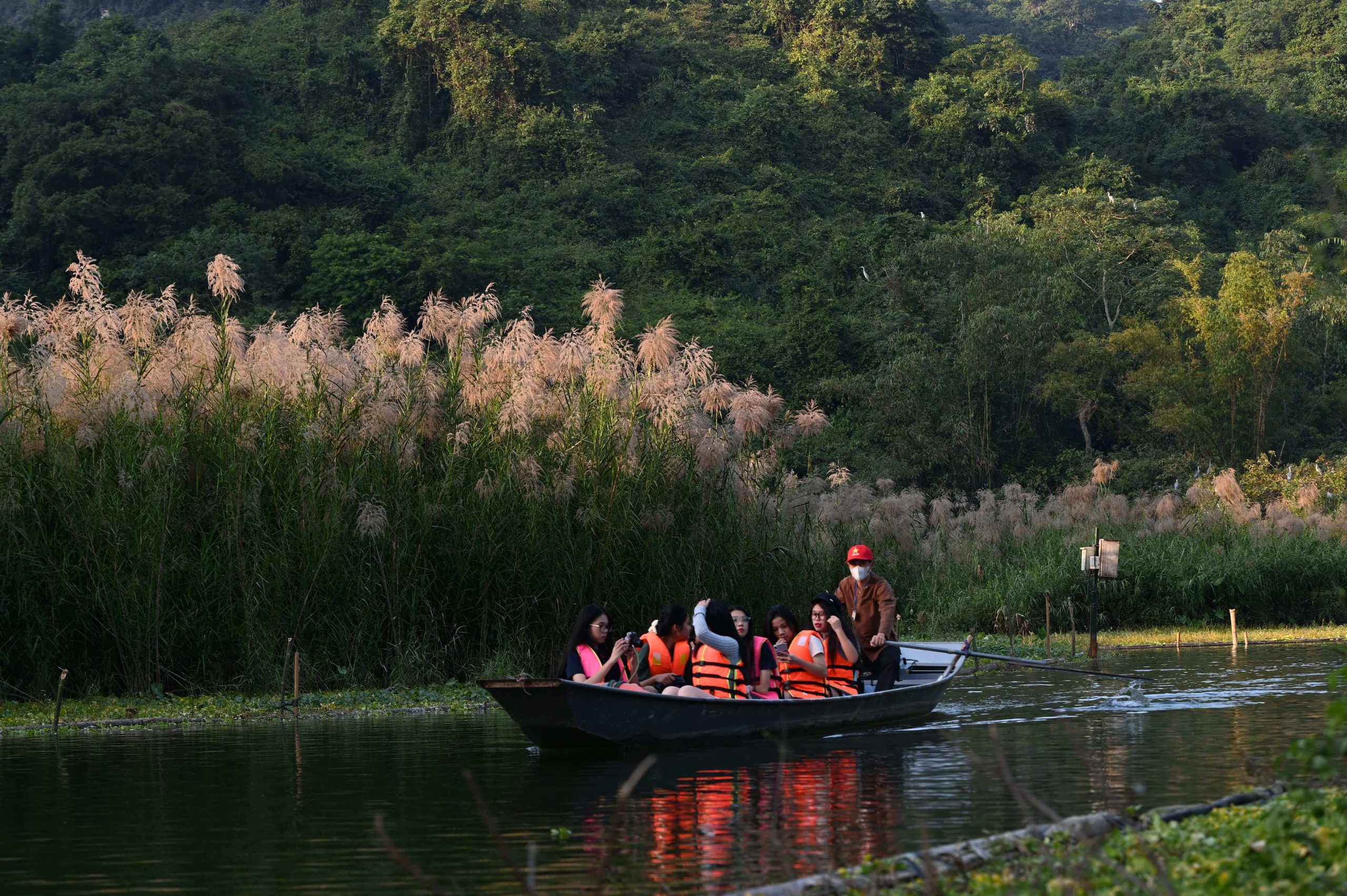Nam Cat Tien National Park: Deep into the Untouched Rainforest