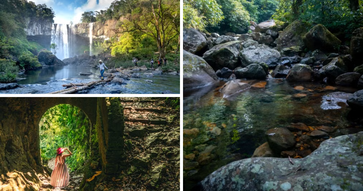 Bach Ma National Park: Misty Peaks and Forgotten French Villas