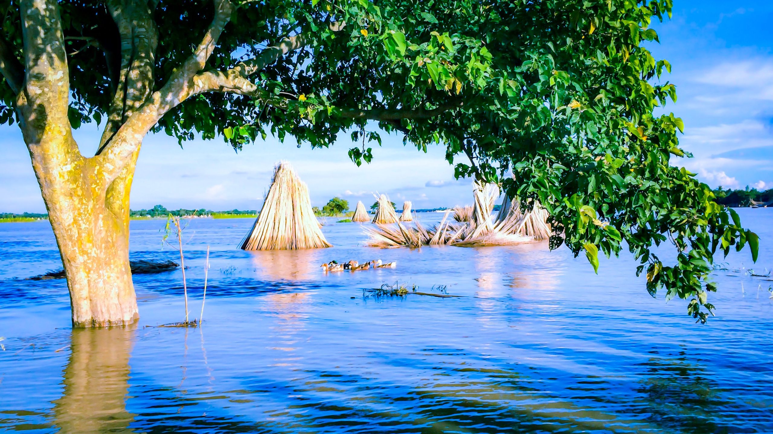 Southern Vietnam Secret Waterways: Drifting Beyond Metropolis Noise